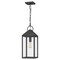 Quoizel Thorpe 1-Light Mottled Black Mini Pendant TPE1508MB - alternate 1